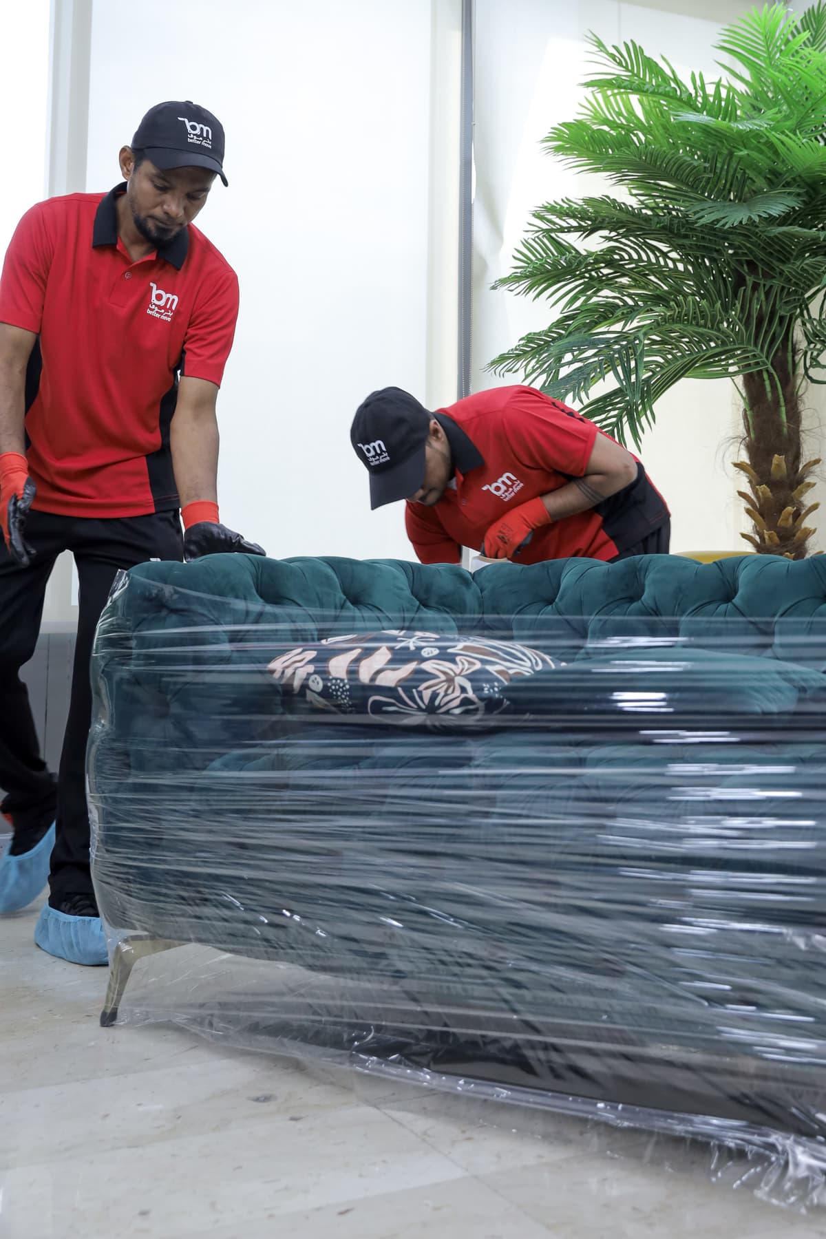 packing sofa